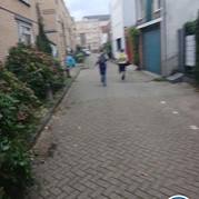 41) The Hunt met begeleiding op afstand  (Eigen locatie)
