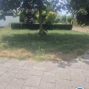 4) Kolonisten van Catan met begeleiding op afstand  (Eigen locatie)