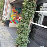 9) Maffia Stadsspel met begeleiding op afstand  (Eigen locatie)