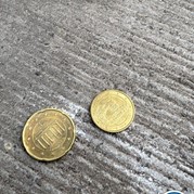 6) Jachtseizoen / begeleiding op afstand  (Eigen locatie)