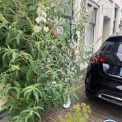 4) Outside Escape Zutphen