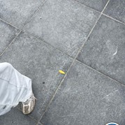38) Dropping *  (Eigen locatie)