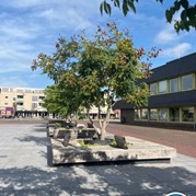 5) Dropping *  (Eigen locatie)