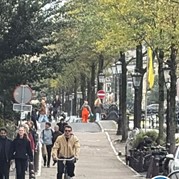 17) Jachtseizoen Amsterdam