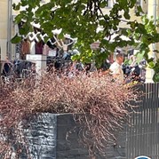 12) Jachtseizoen Valkenburg