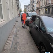 79) Cluedo Antwerpen