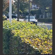 29) Jachtseizoen eigen locatie  (Eigen locatie)