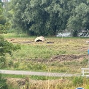5) Dropping *  (Eigen locatie)
