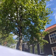 3) Secret Escape Game - Begeleiding op afstand  (Eigen locatie)