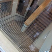 21) Cluedo met begeleiding op afstand  (Eigen locatie)