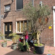 5) Cluedo met begeleiding op afstand  (Eigen locatie)
