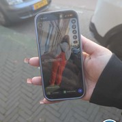 5) Jachtseizoen Den Haag