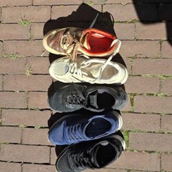 Crazy 88 Dordrecht