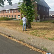 22) Maffia Stadsspel met begeleiding op afstand  (Eigen locatie)