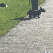 23) Cluedo met begeleiding op afstand  (Eigen locatie)