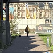 37) Cluedo met begeleiding op afstand  (Eigen locatie)