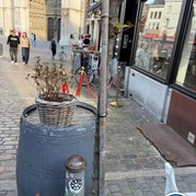 39) Cluedo met begeleiding op afstand  (Eigen locatie)