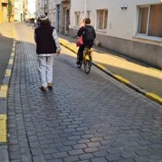 46) Cluedo met begeleiding op afstand  (Eigen locatie)