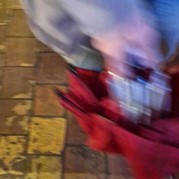 71) Wie ontdekt de Verrader? Delft