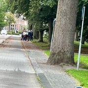 15) The Hunt Apeldoorn