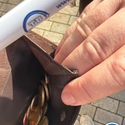 37) Jachtseizoen eigen locatie  (Eigen locatie)