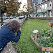 23) Cluedo Amersfoort