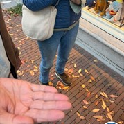 31) Cluedo Amersfoort