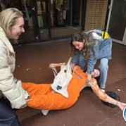 36) Jachtseizoen eigen locatie  (Eigen locatie)