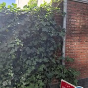 10) The Target met begeleiding op afstand  (Eigen locatie)