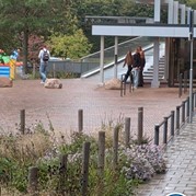 20) Jachtseizoen / begeleiding op afstand  (Eigen locatie)