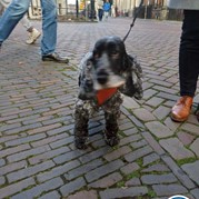 2) Cluedo Utrecht