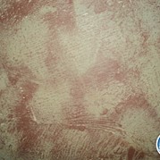 221) Wie ontdekt de Verrader lunch Amersfoort