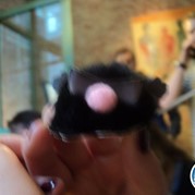 73) Wie ontdekt de Verrader lunch Amersfoort