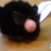 78) Wie ontdekt de Verrader lunch Amersfoort