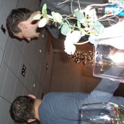 58) Ik Hou van Kerst Quiz  (Eigen locatie)