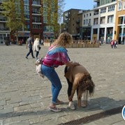 36) Crazy 88 (zonder horeca) * Nijmegen