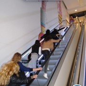 50) Crazy 88 (zonder horeca) * Nijmegen