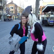 100) Crazy 88 (zonder horeca) *  (Eigen locatie)